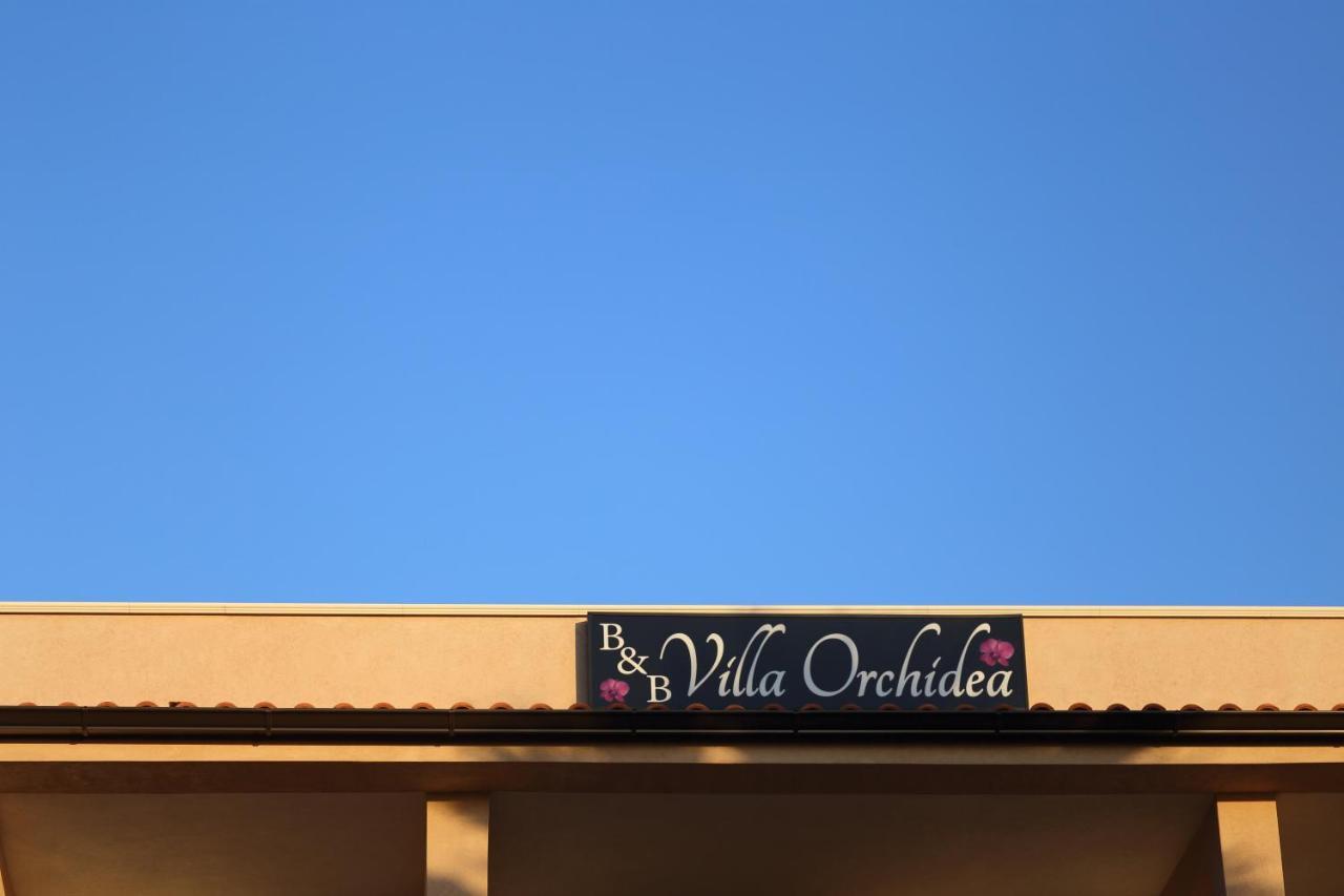 B&B villa orchidea Ricadi Esterno foto